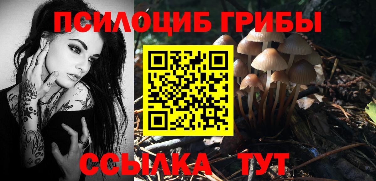 Псилоцибиновые грибы ЛСД  Вход с VPN  Бийск 